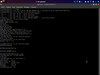 Garuda Linux 200901