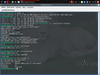 Lion Linux 2.0 (Leyla)