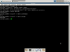 LiveUSB с OpenBSD (XFCE-версия)