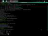 Mabox Linux 20.02 (Calanthe)