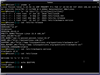 Poison Linux 15.0.5 Beta