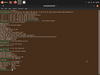 Ubuntu Cinnamon Remix 21.04