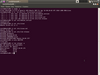 Ubuntu Russian Remix 10.04.0.1 LTS