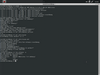 CrunchBang Linux 11 20130506 (Waldorf)