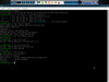ExLight GNU/Linux 64-bit Live-DVD build 210125