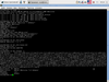 JonDo/Tor-Secure-Live-DVD 0.9.88.2