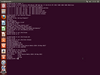 Linux Secure Remix 13.04