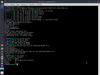 Swift Linux 19.2.2 (Hannah Montana)