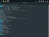 Tux Linux 20.04