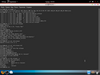 Wando Linux 4.2 Beta (Vincent)