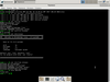 kolomonggo Linux 2.0 (hauntsman spider)